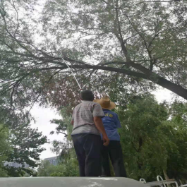 1628745713338213.png image.png